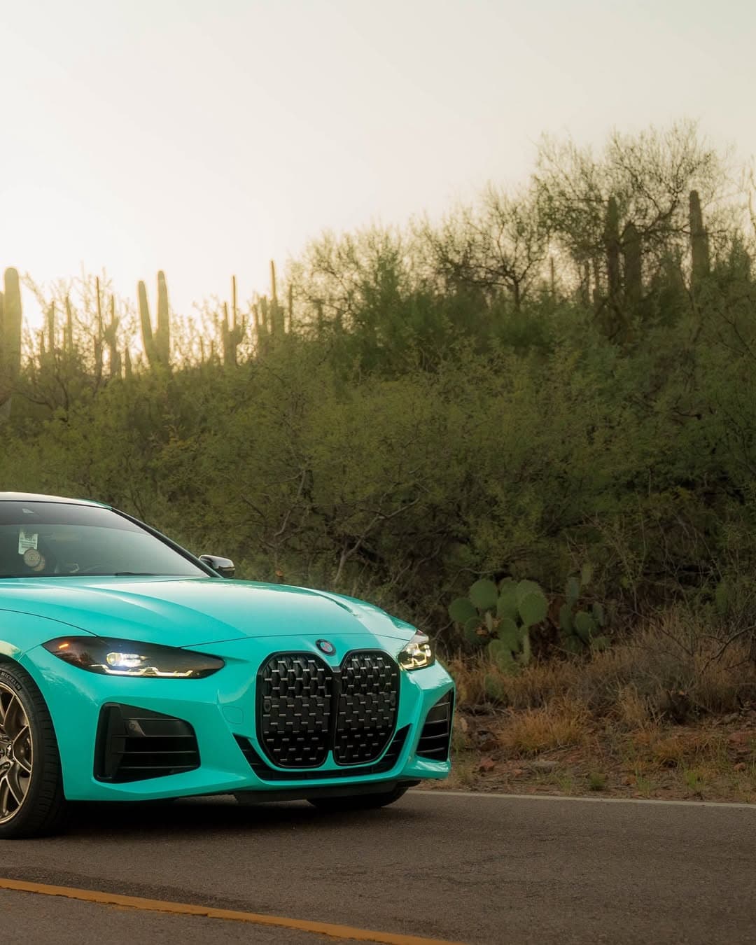 Tiff Blue on BMW, CCD Auto Design