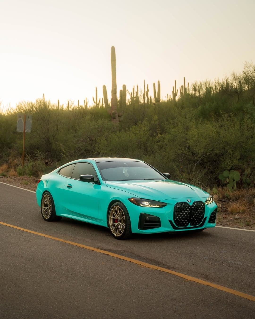 Tiffany Blue on BMW, Clear Choice Autoshield