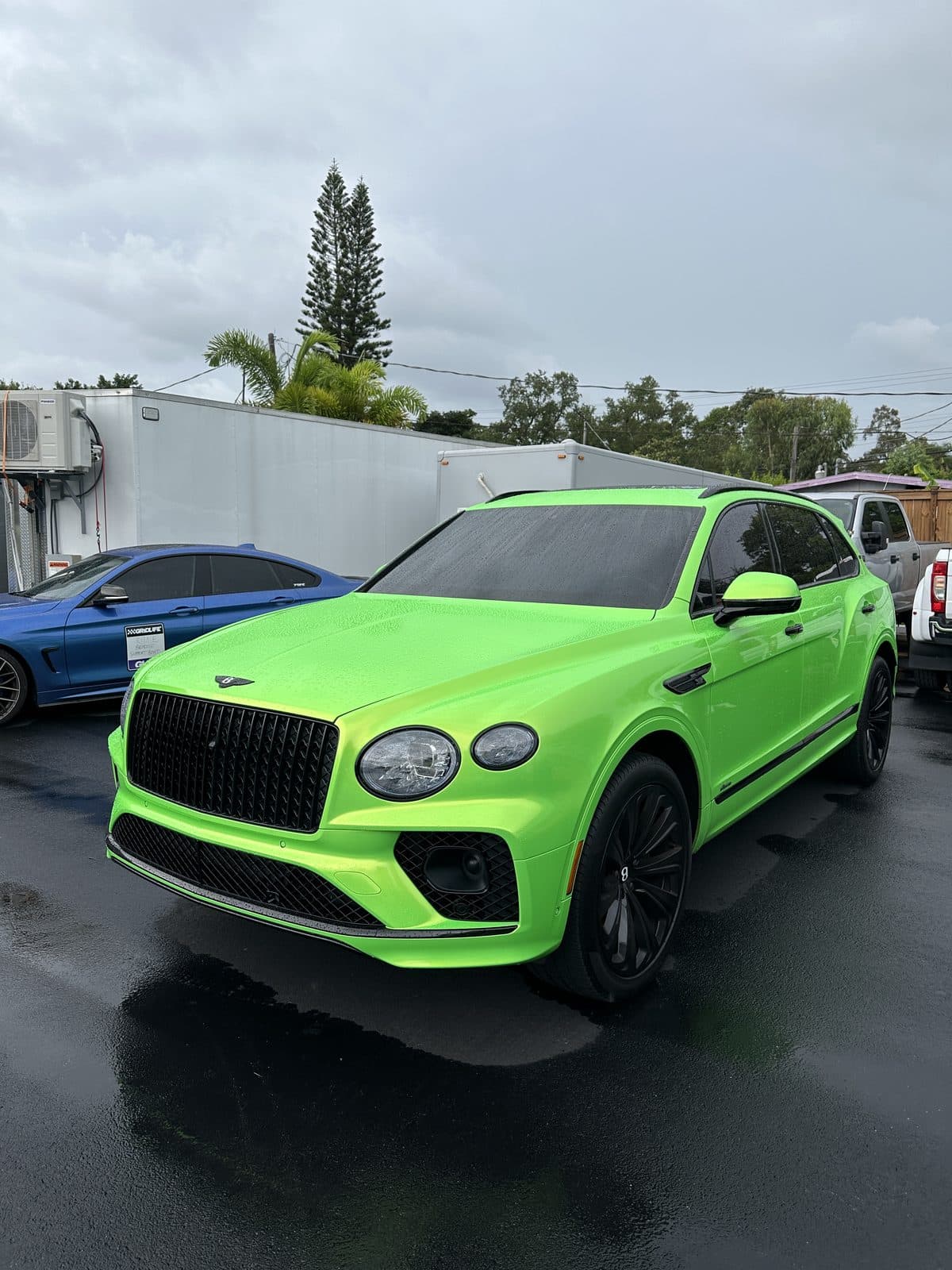Metallic Screamin Green on Bentley, Priime Vinyl