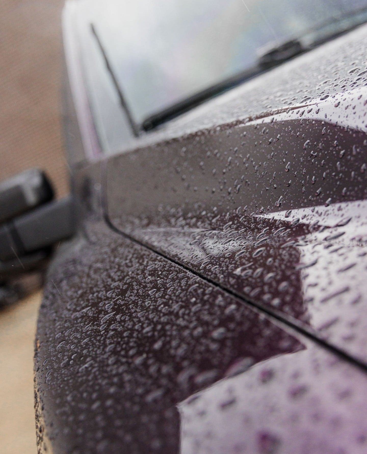 Nightshade Purple on Ford Raptor, Rahal Paint Protection