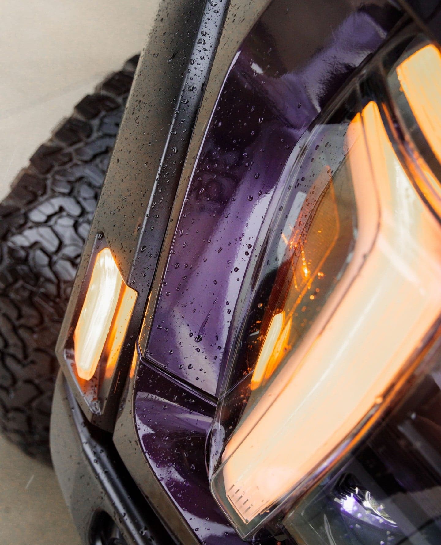 Nightshade Purple product photo