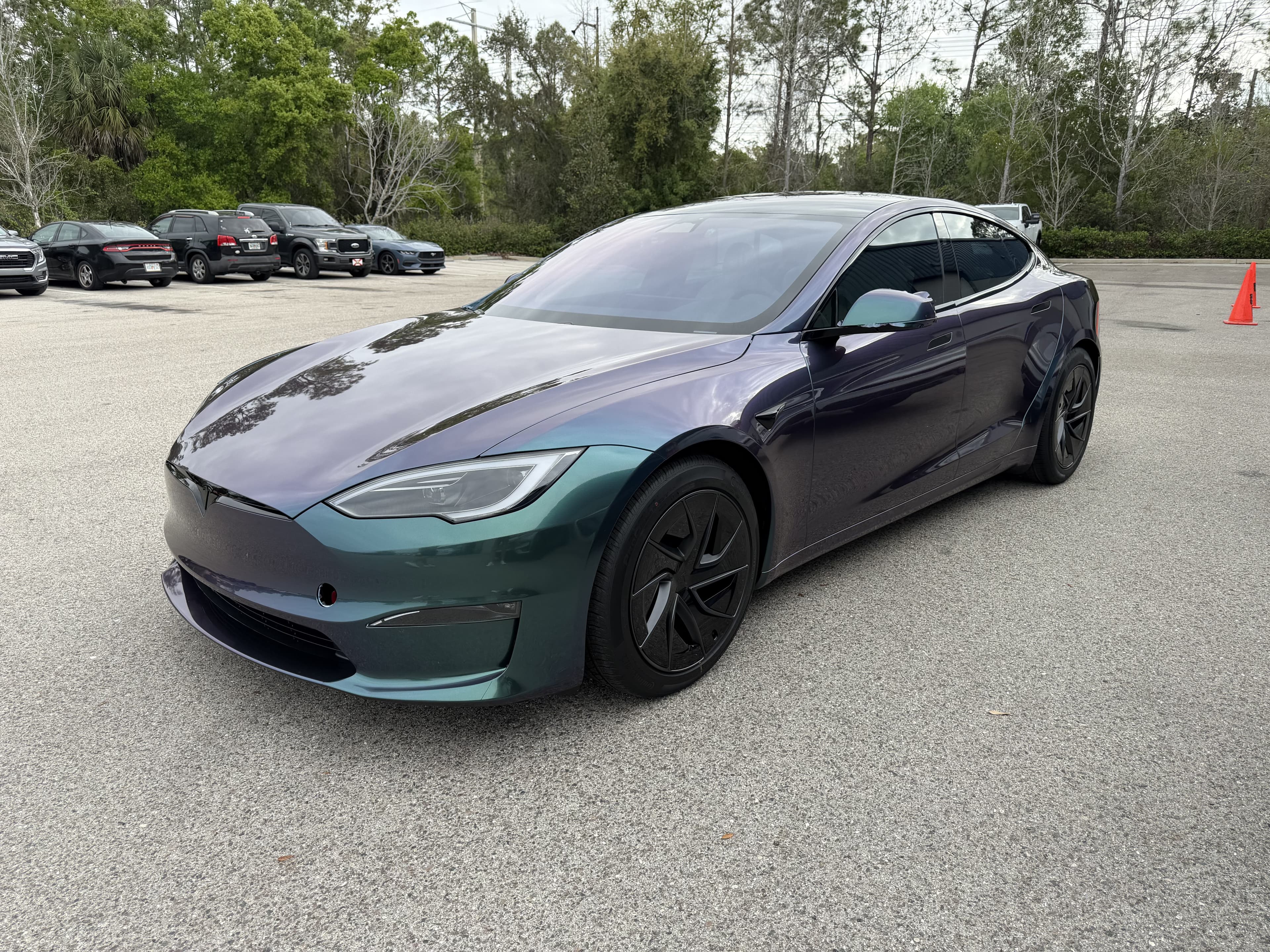 Venomous Cobra on Tesla Model S, Sage Auto Studios