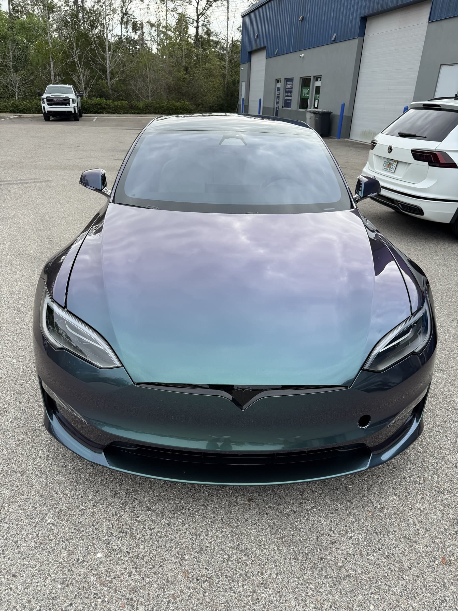 Venomous Cobra on Tesla Model S, Sage Auto Studios