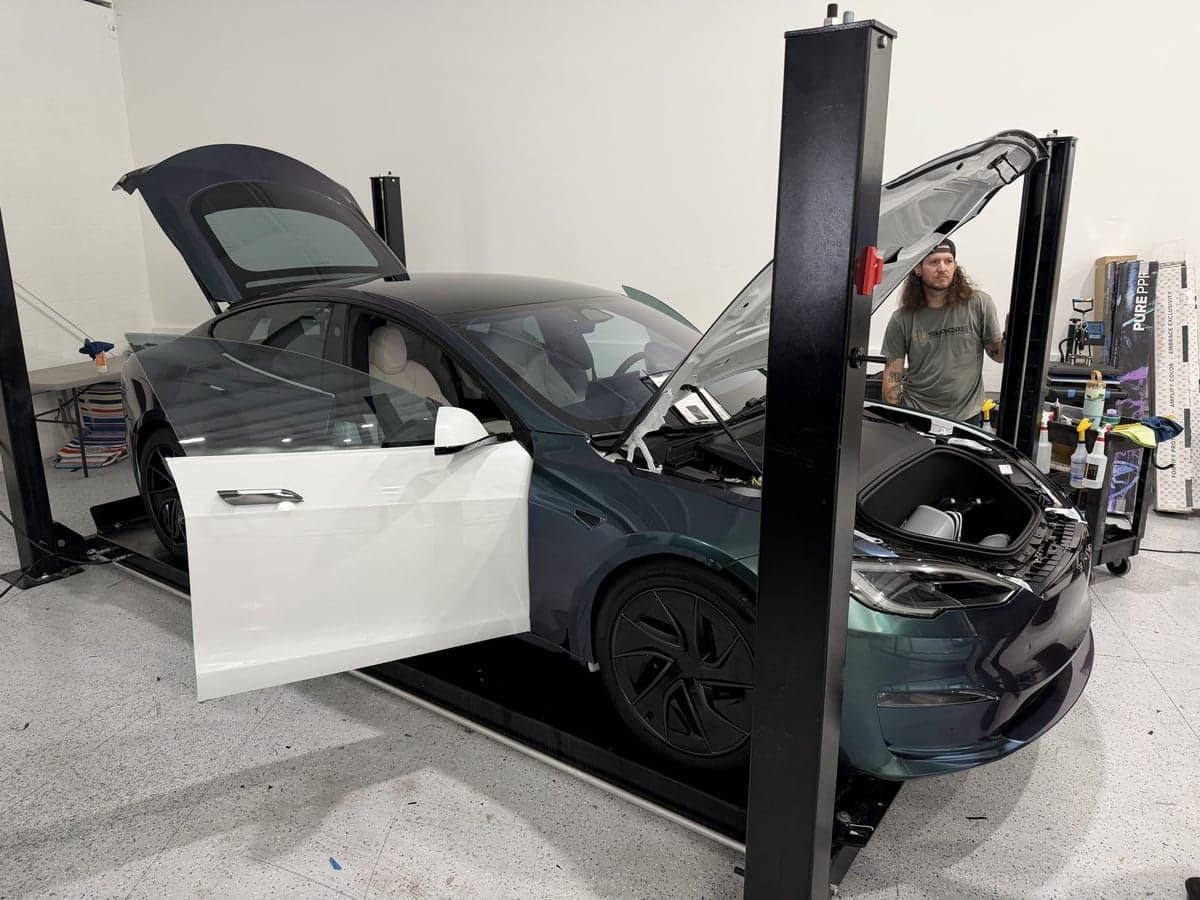 Venomous Cobra on a Tesla Model S