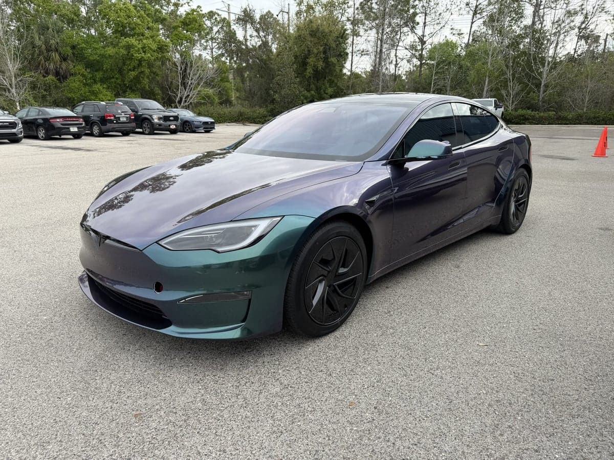 Venomous Cobra on a Tesla Model S