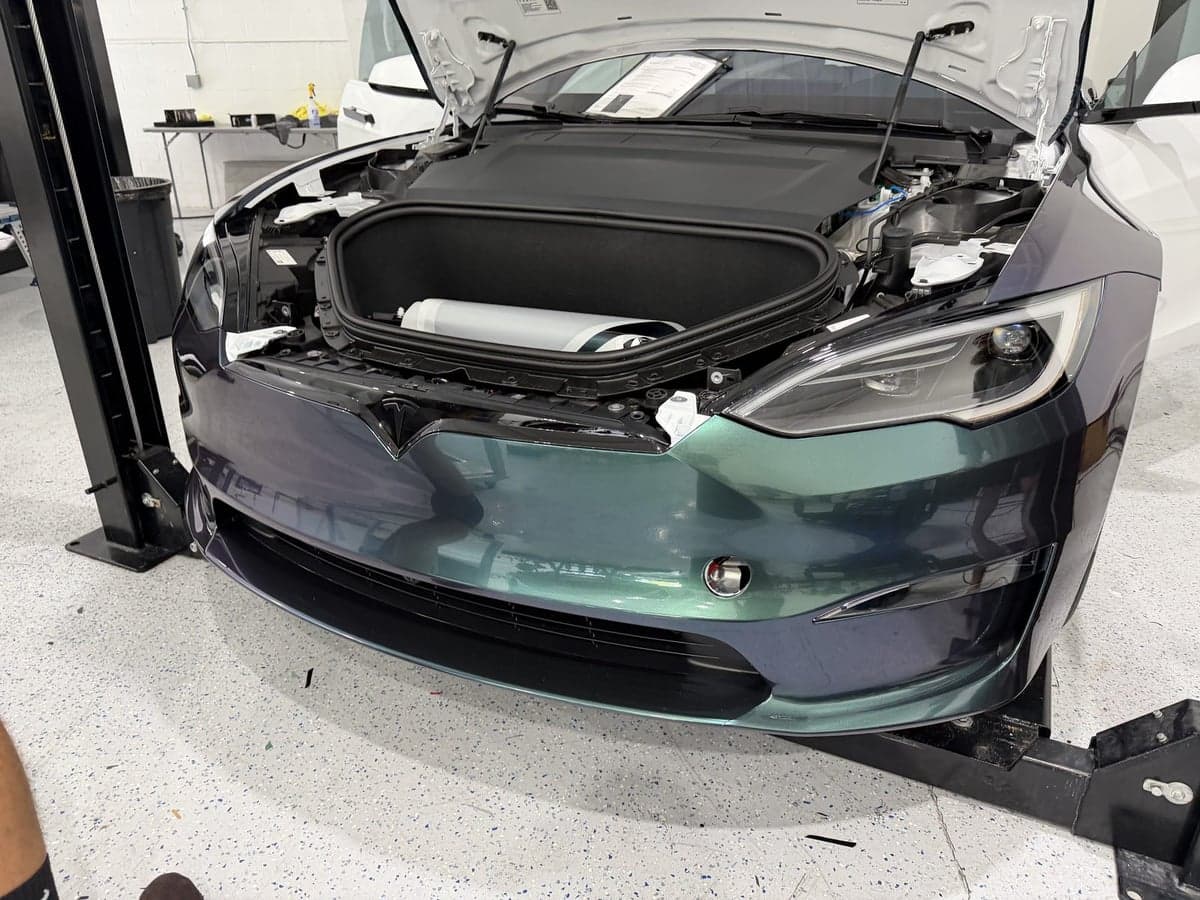 Venomous Cobra on a Tesla Model S