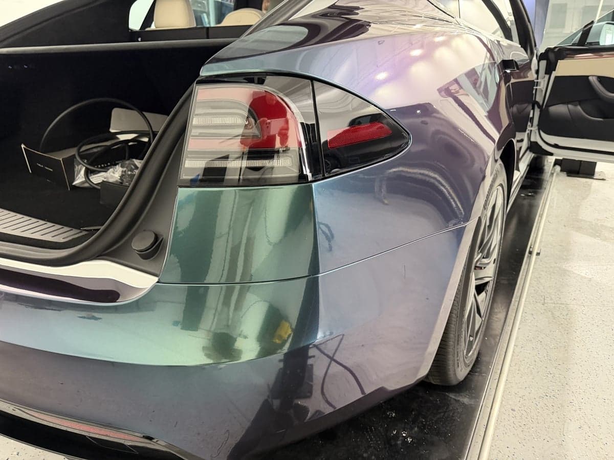 Venomous Cobra on a Tesla Model S