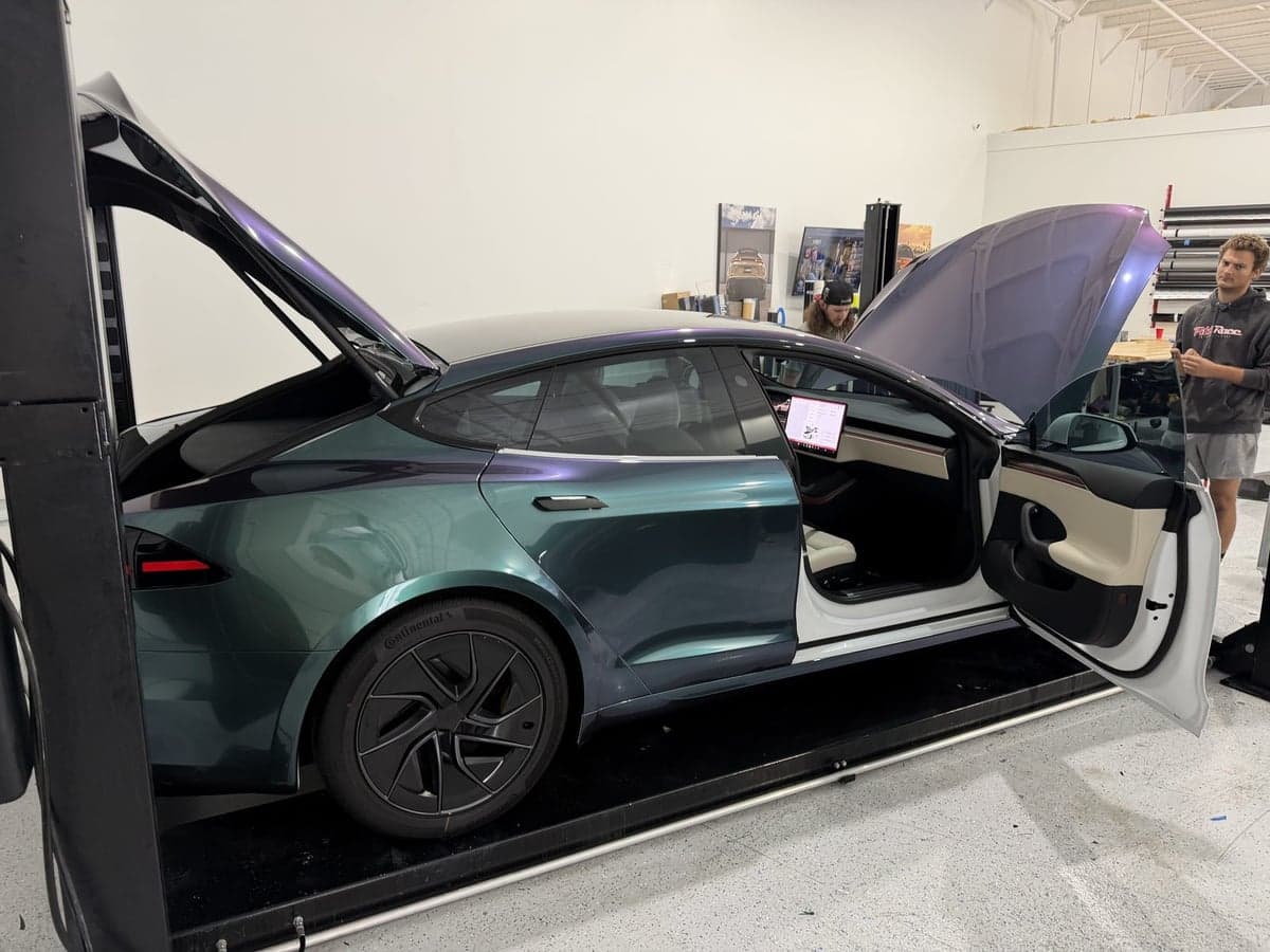 Venomous Cobra on a Tesla Model S